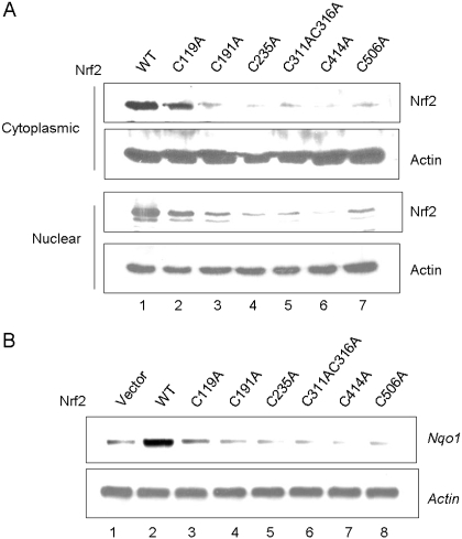 Fig. 11.