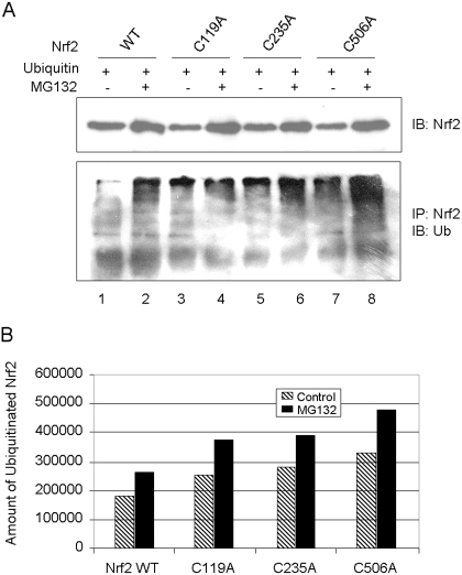 Fig. 10.