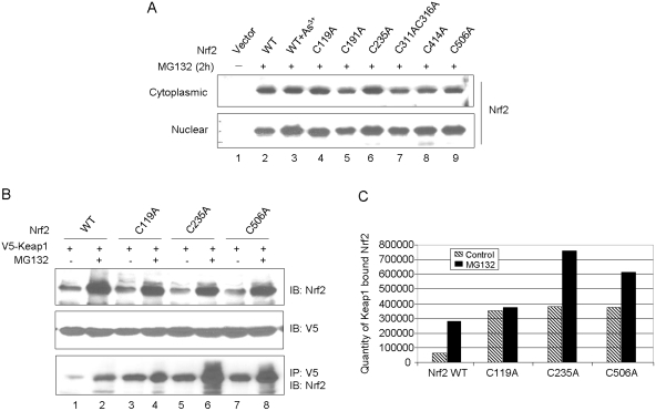 Fig. 9.