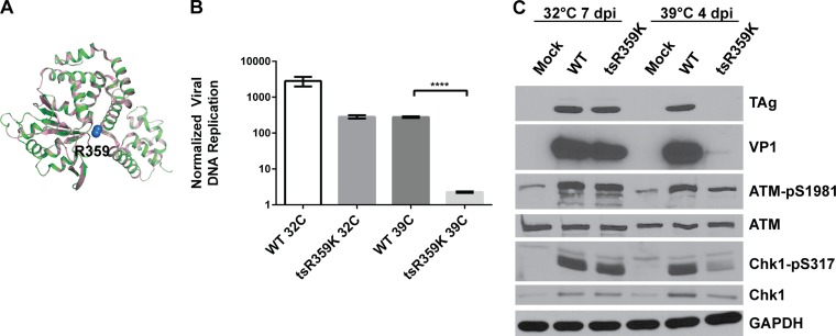 FIG 3