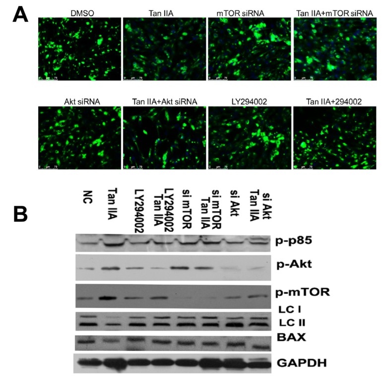 Fig. (9)