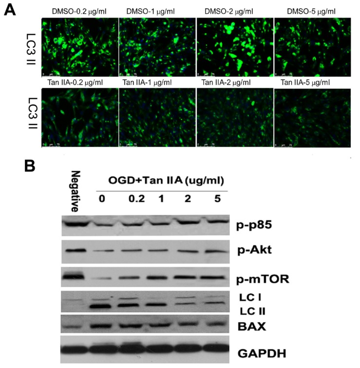 Fig. (5)