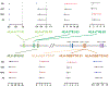 Figure 1 -