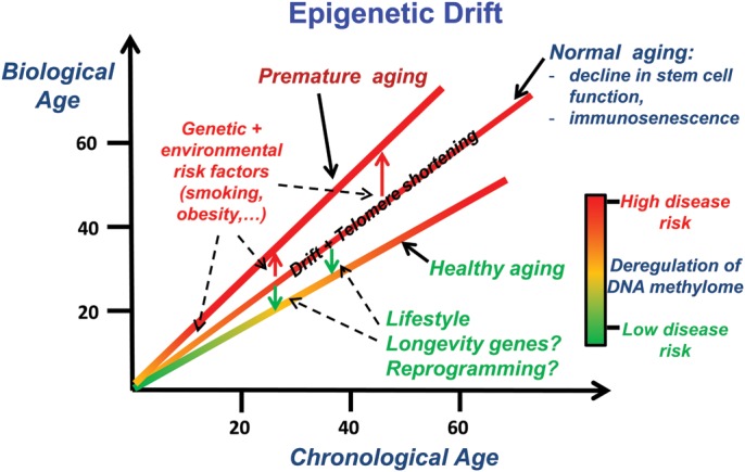 Figure 2.