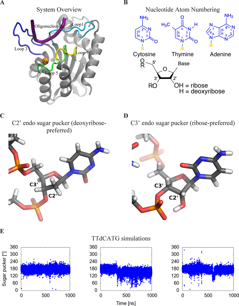 Figure 1: