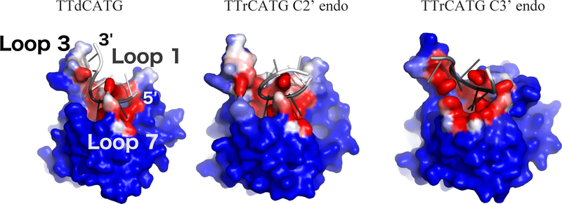 Figure 4: