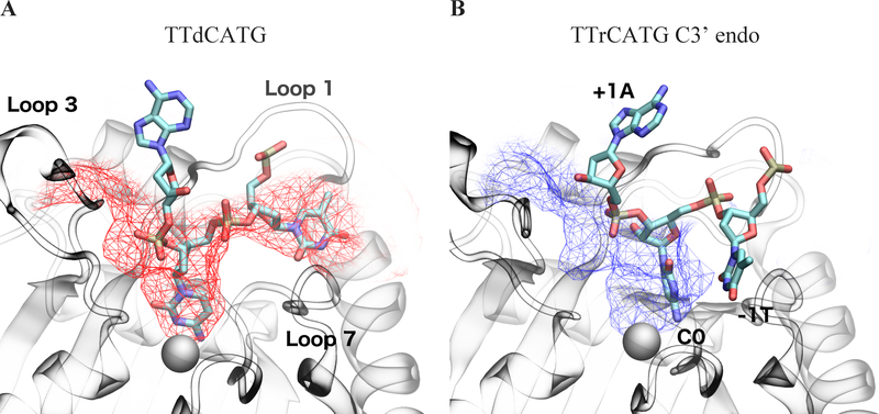 Figure 3: