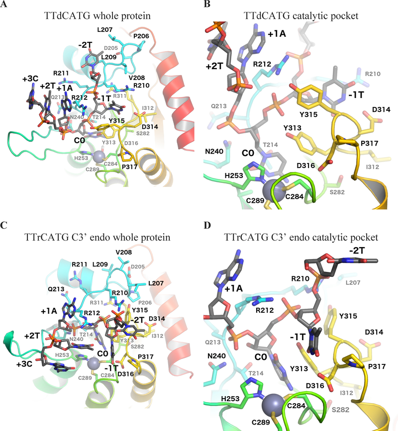 Figure 2: