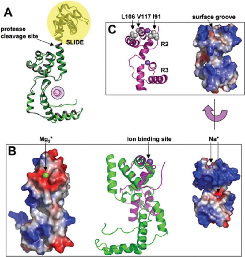 Fig. 3