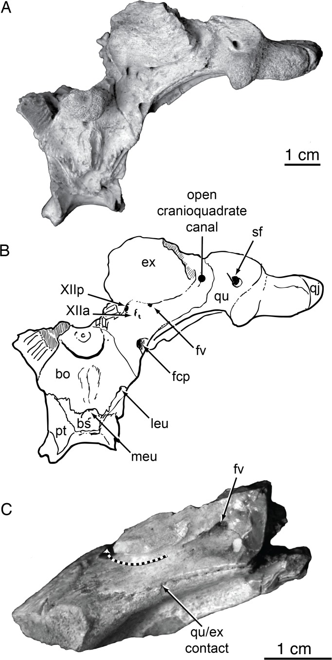 Fig 13