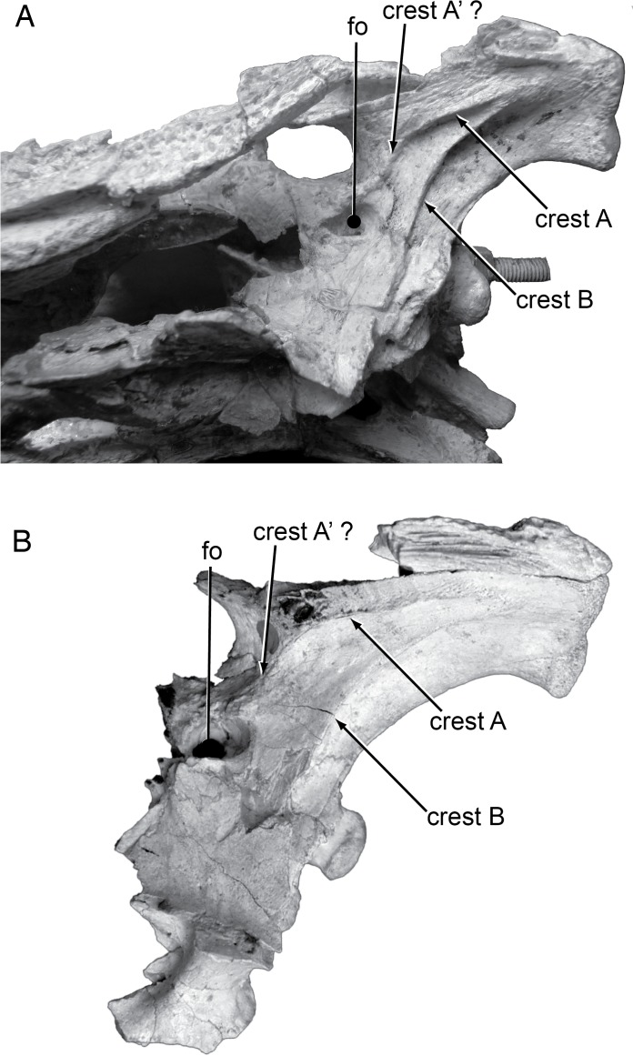 Fig 12