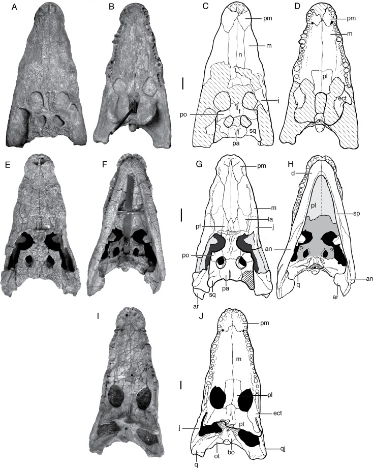 Fig 5