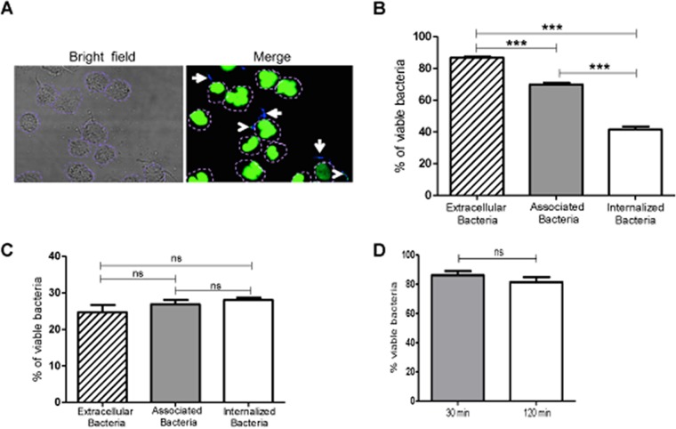 FIG 2