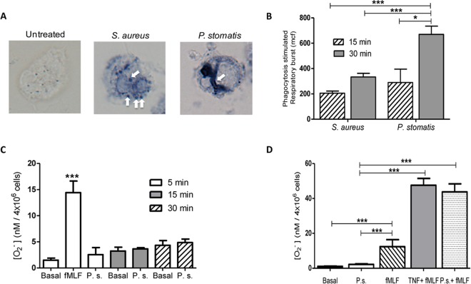 FIG 3