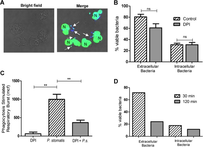 FIG 4