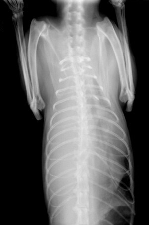 FIGURE 30-23