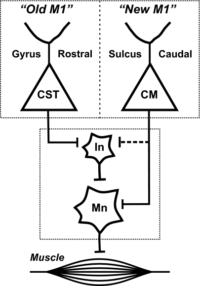 Fig. 6.