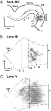 Fig. 5.