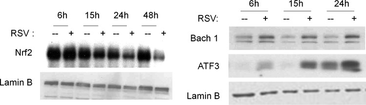 FIG. 9.