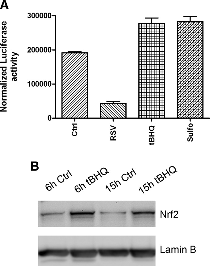 FIG. 14.