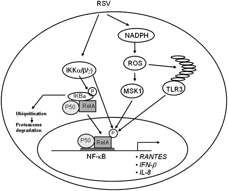 FIG. 6.