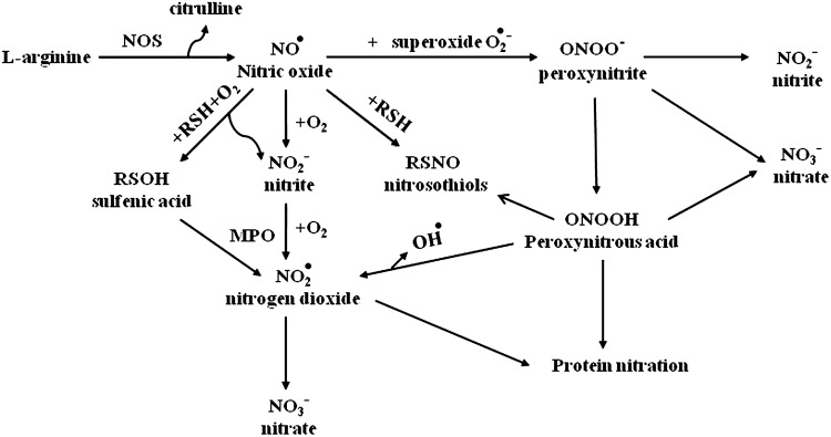 FIG. 11.