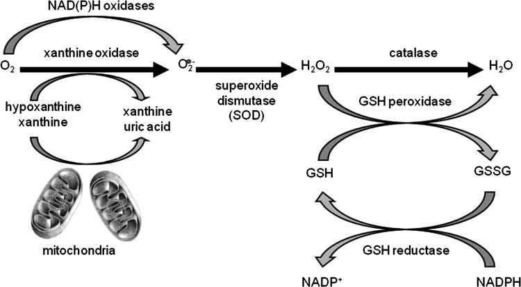 FIG. 4.