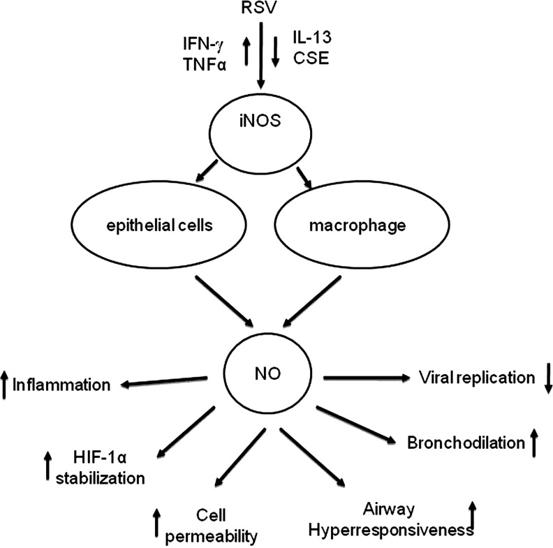 FIG. 13.