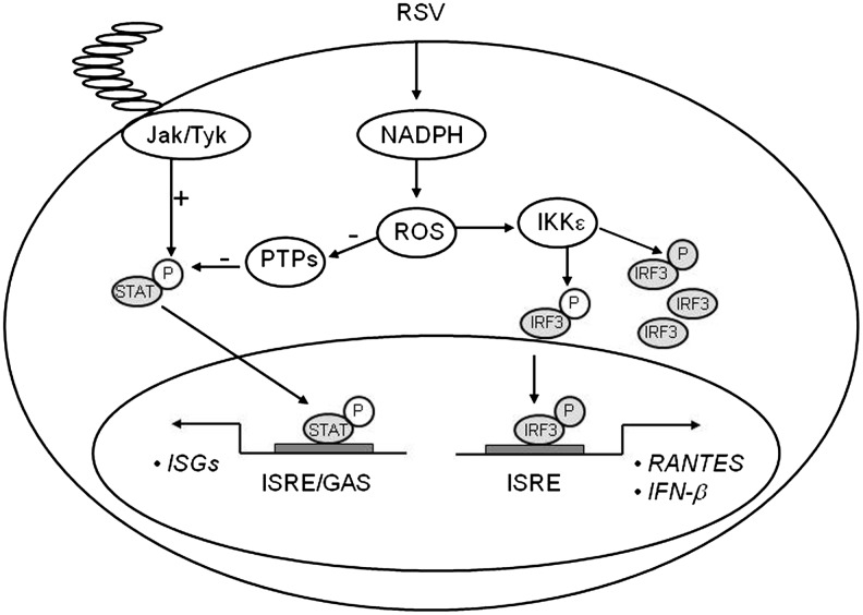 FIG. 7.