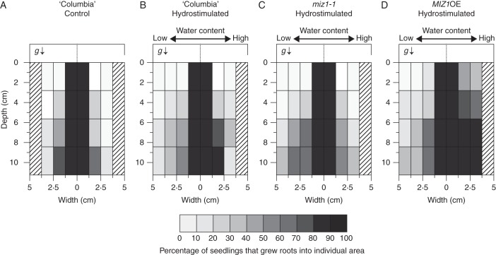 Fig. 7.