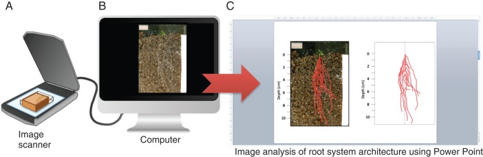 Fig. 2.