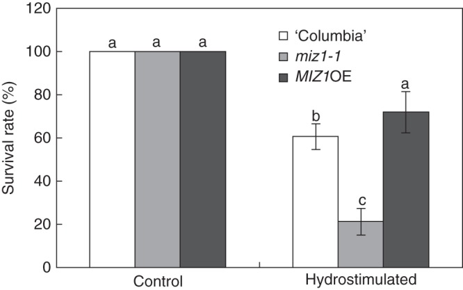 Fig. 9.