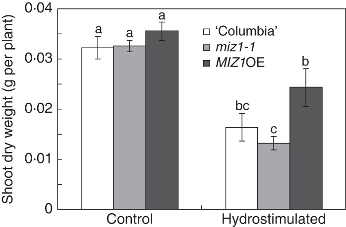 Fig. 8.