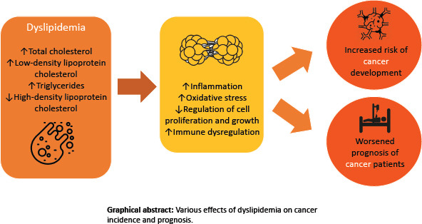 Graphical abstract