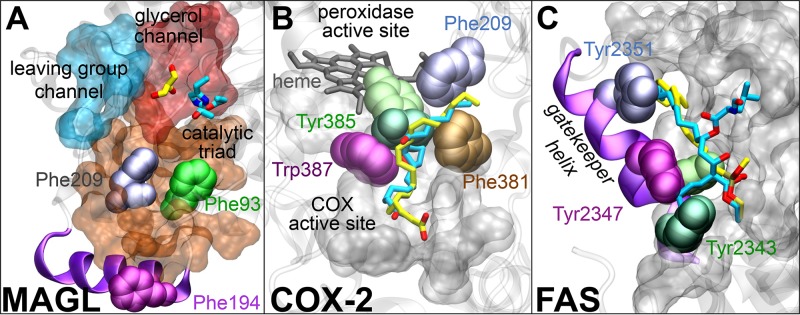 Fig 7