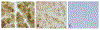 Fig. 10.5