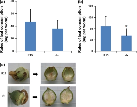 Fig. 5