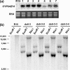 Fig. 2