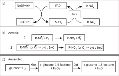 Figure 2.