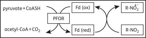 Figure 1.