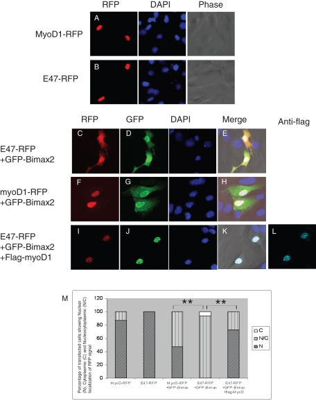 FIGURE 5: