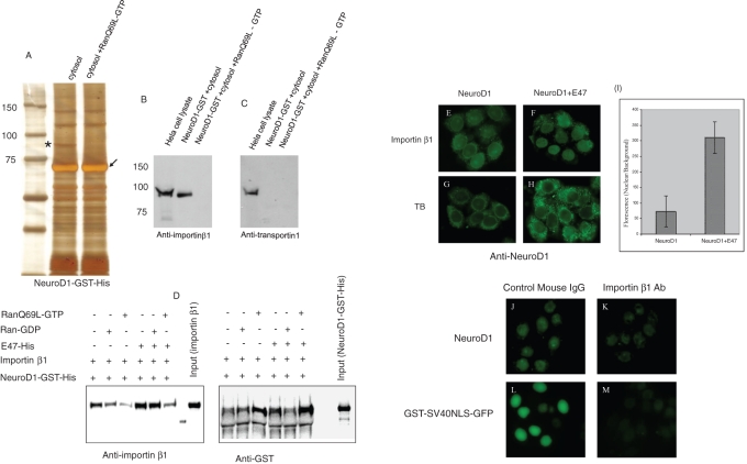 FIGURE 4: