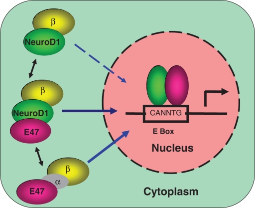 FIGURE 6: