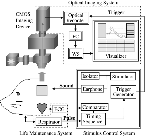 Fig. 2