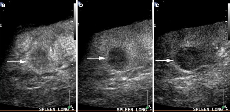 Fig. 6