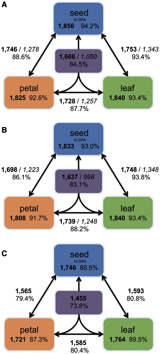 Fig. 2.—