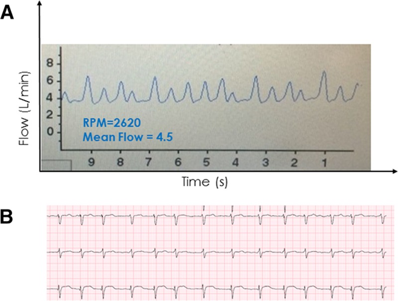 Figure 10.