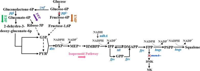 Fig. 1