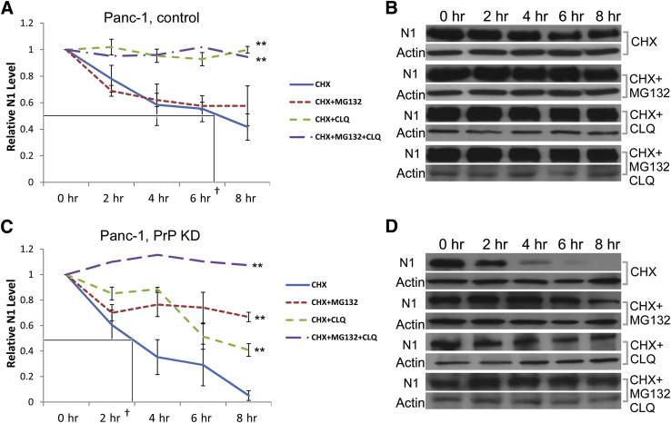 Figure 6