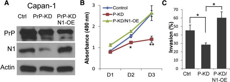 Figure 3